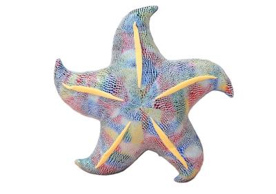 Opakowanie Poduszka pluszowa rozwgwiazda niebieska 20cm