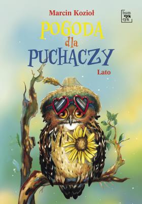 Okładka książki Pogoda dla puchaczy. Lato