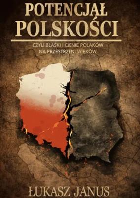 Okładka książki Potencjał polskości
