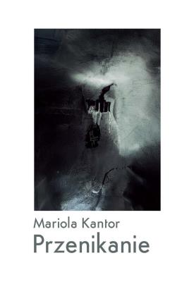 Przenikanie. Autor: Mariola Kantor. SmakLiter.pl Okładka książki Przenikanie