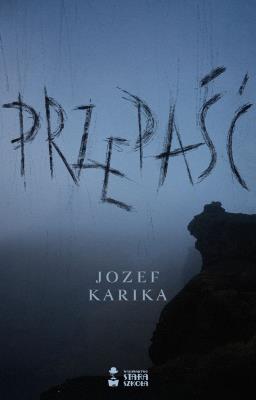 Okładka książki Przepaść