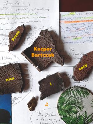 Okładka książki Przez nica i cacy