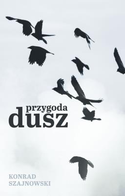 Okładka książki Przygoda dusz