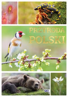 Przyroda Polski. Autor: Opracowanie zbiorowe. SmakLiter.pl Okładka książki Przyroda Polski