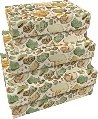 Pudełka ozdobne Muszle 3szt. Wydawca: Skona Ting. SmakLiter.pl Opakowanie Pudełka ozdobne Muszle 3szt