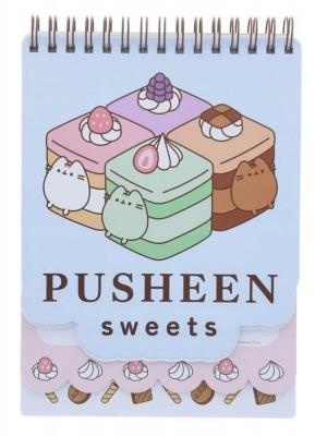 Opakowanie Pusheen Notes mini