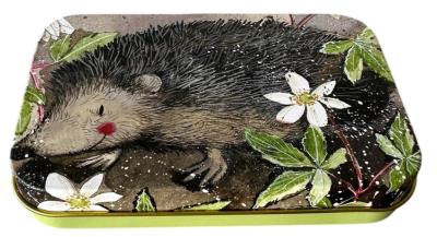 Opakowanie Puszka średnia prostokąt Jeż Prickly