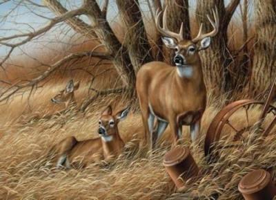 Opakowanie Puzzle 1000 Rodzinka jeleni