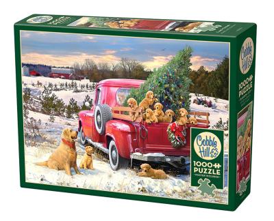 Opakowanie Puzzle 1000 Rodzinna wycieczka 113024