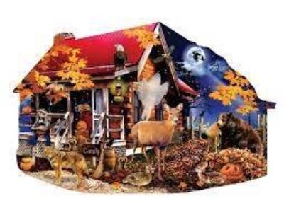 Opakowanie Puzzle 1000 Światła nocy