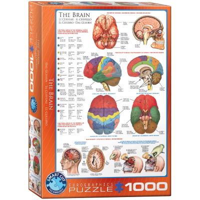 Puzzle 1000 The Brain 6000-0256. Wydawca: Eurographics. SmakLiter.pl Opakowanie Puzzle 1000 The Brain 6000-0256