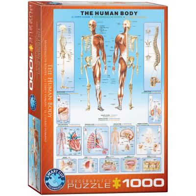 Opakowanie Puzzle 1000 The Human Body 6000-1000