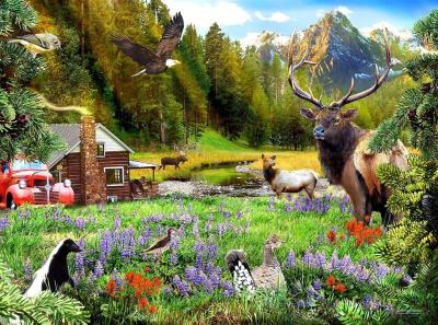 Opakowanie Puzzle 1000 W lesie