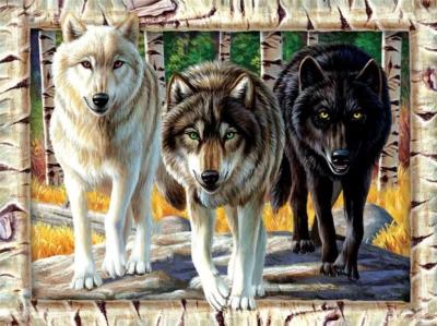 Puzzle 1000 Wilki. Wydawca: Graf-ika. SmakLiter.pl Opakowanie Puzzle 1000 Wilki