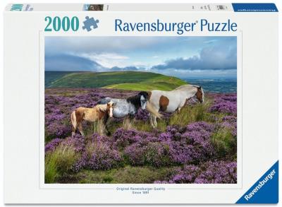Opakowanie Puzzle 2000 Wild Horses in the Heather