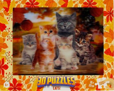 Opakowanie Puzzle 3D 100 Koty