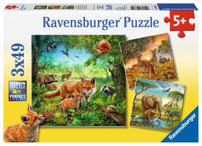 Opakowanie Puzzle 3x49 Animals of the Earth