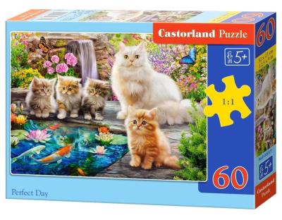 Opakowanie Puzzle 60 Perfect Day CASTOR