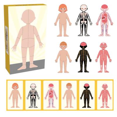 Puzzle Magnetyczne Moje ciało. Wydawca: Askato. SmakLiter.pl Opakowanie Puzzle Magnetyczne Moje ciało