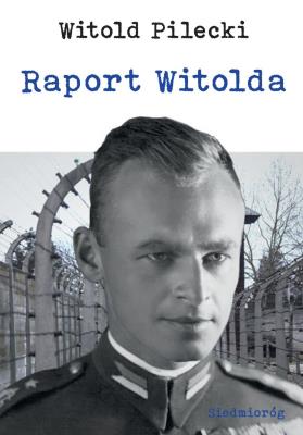 Okładka książki Raport Witolda
