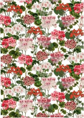 Opakowanie Ręcznik kuchenny - Pelargonia