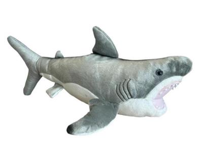 Opakowanie Rekin 50cm