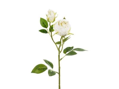 Opakowanie Róża z dwoma pąkami 55cm