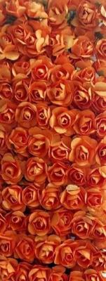Opakowanie Różyczki papierowe pomarańczowe 144szt