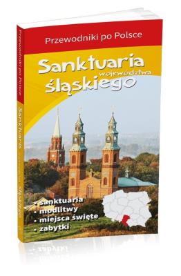 Okładka książki Sanktuaria województwa śląskiego