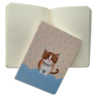 Opakowanie SBK15 Notesik Mały kot Toffee