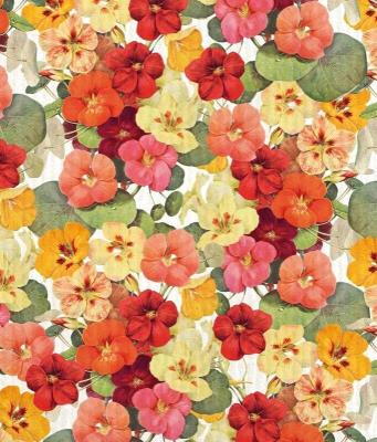 Opakowanie Ściereczka do naczyń Nasturcja STDISH26