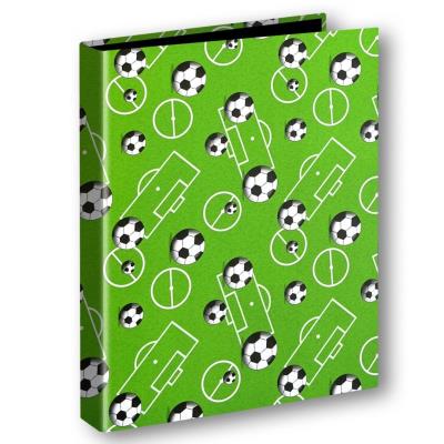 Opakowanie Segregator A4/2 T0130 Boisko PENMATE