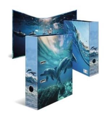 Opakowanie Segregator Delfin 7cm