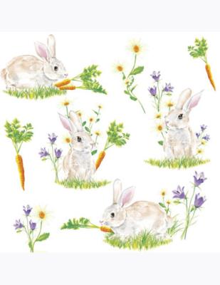 Opakowanie Serwetki DAISY Lunch SD 330x330 Wielkanoc 012901