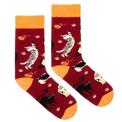 Opakowanie Skarpetki bawełna organiczna koty bordowe 36-41