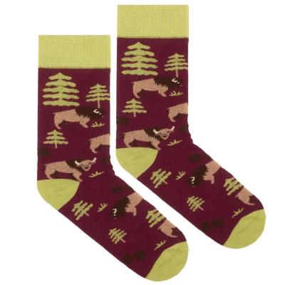 Opakowanie Skarpetki bawełna organiczna żubr 42-46