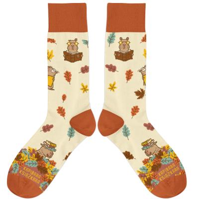 Skarpetki - Kapibara Książkara rozm. 37/41. Wydawca: Molom. SmakLiter.pl Opakowanie Skarpetki - Kapibara Książkara rozm. 37/41