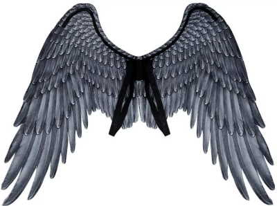 Skrzydła Archanioła czarne 95x75cm. Wydawca: Boland. SmakLiter.pl Opakowanie Skrzydła Archanioła czarne 95x75cm