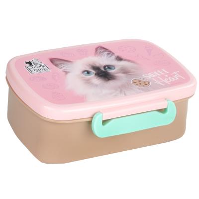 Opakowanie Śniadaniówka A Cleo i Frank 45 DERFORM