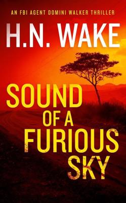 Okładka książki Sound of a Furious Sky