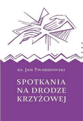 Okładka książki Spotkania na drodze krzyżowej