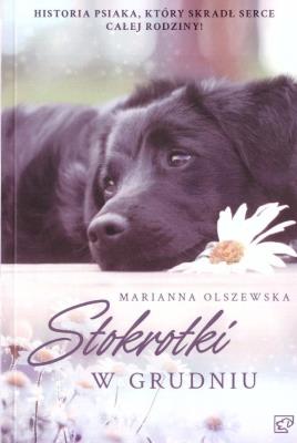 Okładka książki Stokrotki w grudniu