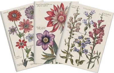 Opakowanie Stone 511 Zestaw 3 notatników A6 - kwiaty