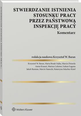 Okładka książki Stwierdzanie istnienia stosunku pracy przez Państwową Inspekcję Pracy. Komentarz