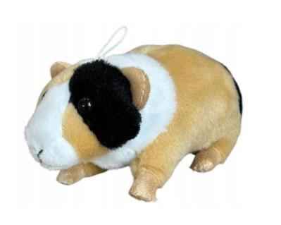 Opakowanie Świnka morska łaciata 14cm