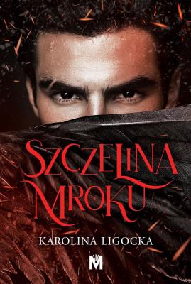 Szczelina mroku. Autor: Karolina Ligocka. SmakLiter.pl Okładka książki Szczelina mroku