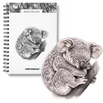 Opakowanie Szkicownik B5/60K na spirali - Koala