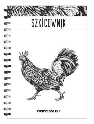Opakowanie Szkicownik B5 na spirali gładki Kogut