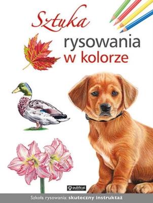 Opakowanie Sztuka rysowania w kolorze