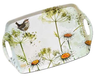 Taca kuchenna duża Strzyżyk i stokrotki. Wydawca: Alex Clark. SmakLiter.pl Opakowanie Taca kuchenna duża Strzyżyk i stokrotki